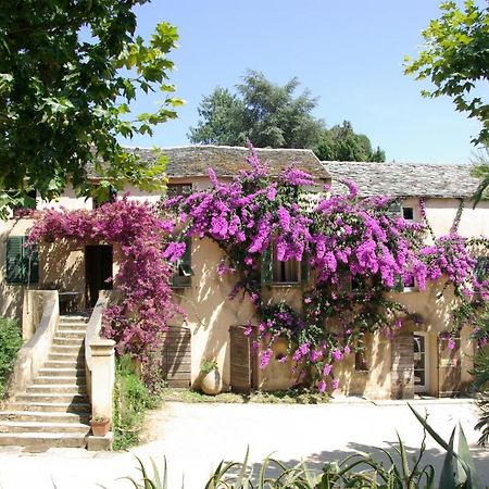 Domaine De Valle Sorbo-Ocagnano Екстер'єр фото