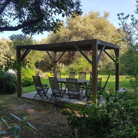 Domaine De Valle Sorbo-Ocagnano Екстер'єр фото