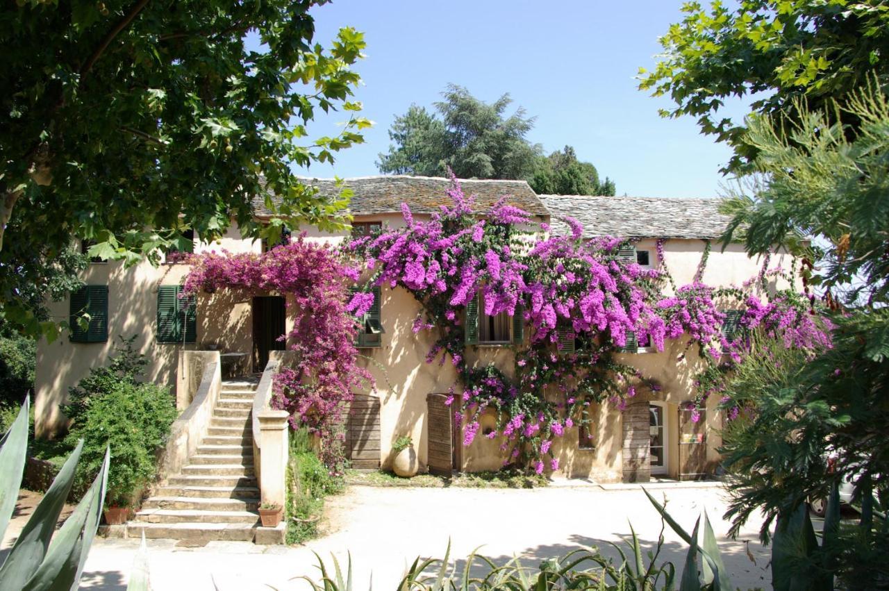 Domaine De Valle Sorbo-Ocagnano Екстер'єр фото
